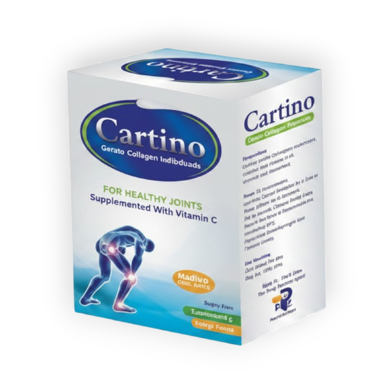 CARTINO ORANG FLAVOR  10 SACHETS