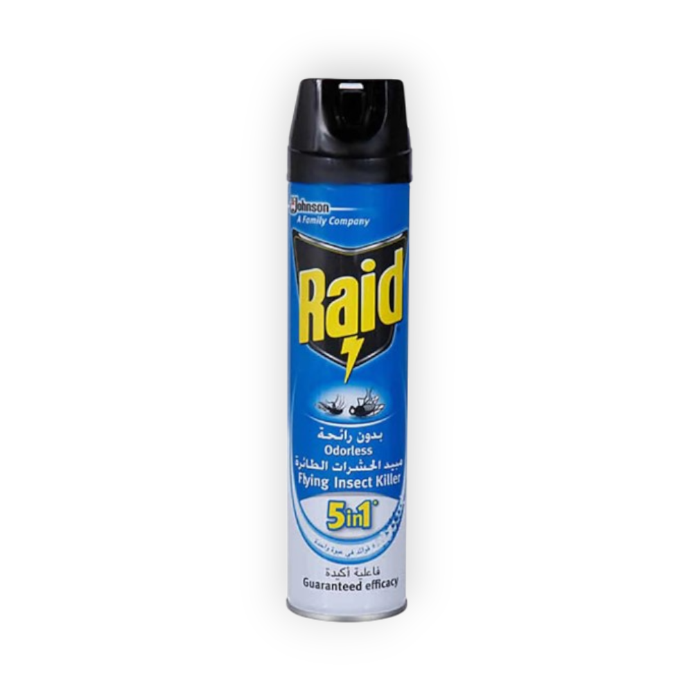 RAID FLYING INSECT KILLER 300ML DISCOUNT20%