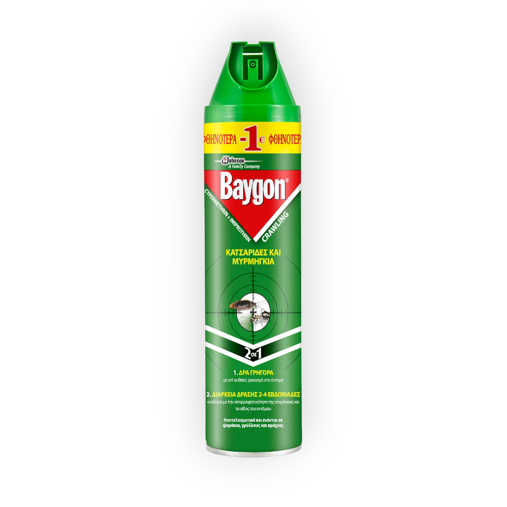 BAYGON CRAWLING INSECT 300 ML