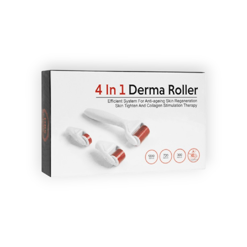 DERMA ROLLER SYSTEM DMS 4 IN 1