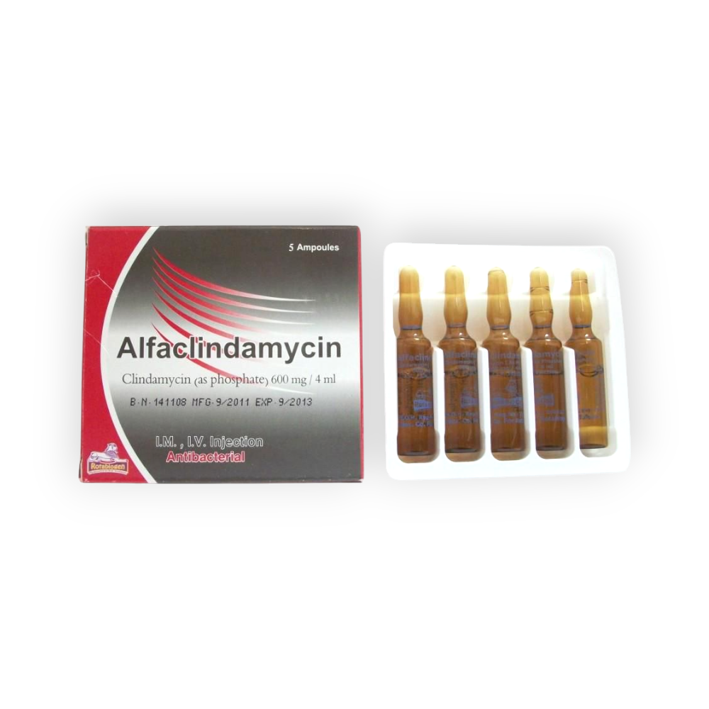 ALFACLINDAMYCIN  600 MG / 4 ML  5 AMPULES