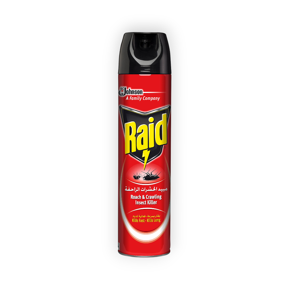 RAID CRAWLING INSECT 400ML 
