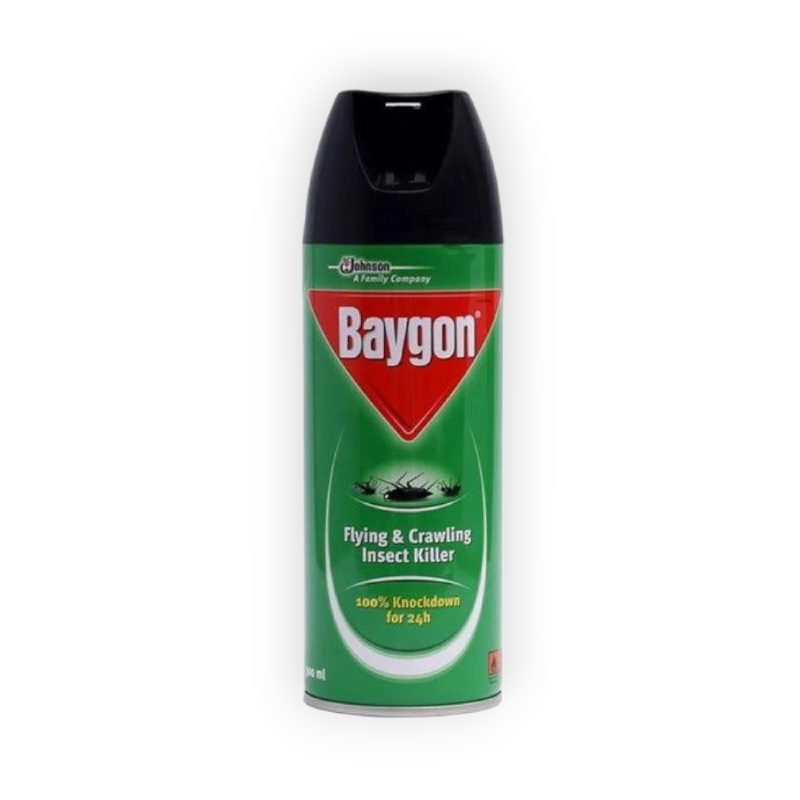 RAGON FLYING INSECT 300ML